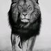 Julius Steven - Facebook