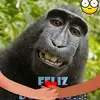 julio vasquez - @juliusvasquez19512015 - TikTok