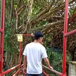 Diong Jun Cheng - @juncheng_0502 - Instagram