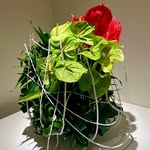 岡本純肇 - @juncho_okamoto - Instagram