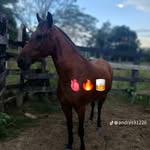 Juncho Romero - @romerojuncho - Instagram