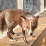 주누 - @jun._.hu - Instagram