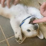 강준황 - @junhwanggang - Instagram
