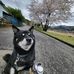 Jun  Iwasaki - Facebook