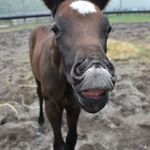 Jun  Iwasaki - @jun.iwasaki.75 - Instagram