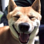 Jun Iwasaki - @iwasan_railwayphotographs - Instagram