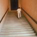 Jun Iwasaki - Facebook