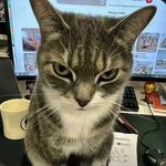 Kang Yong Jun - @jun.kang.yong.jun0324 - Instagram