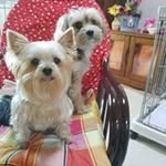Jun Kawashima - @kawashima8214 - Instagram