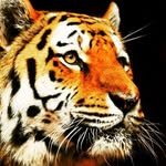 Jun Kim - @jun_2ider - Instagram