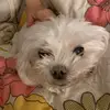Jun Kim - @jun.kim674 - TikTok