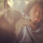 Jun Kobayashi - @smalltreetreeee - Instagram