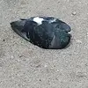 Бог.@ - @_jun_lee_ - TikTok