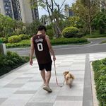 Jun Qiu - @hi_junzi - Instagram