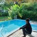 Jun Jun Reyes - Facebook