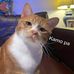 Jun Reyes - Facebook