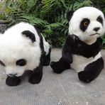 Jun Shao - Facebook