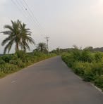 Jun Sun - Facebook