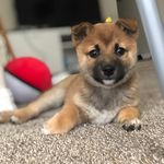 Jun Tao - @jun_tao__ - Instagram