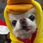 Juntao Mil - @juntaojx - Instagram