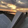 jun xie - @jun.xie47 - TikTok