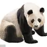 jun XIE - @junxie34 - TikTok