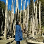 薛香君 - @jun__xue - Instagram