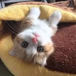 Jun.Xue - @xuejun1019 - Instagram