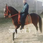 Junaid Ilyas - @junaid.ilyas.716 - Instagram