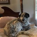 June Acker - @acker.june - Instagram