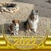 June Ackermann - Facebook