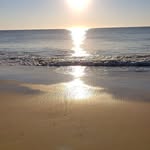 June Alston Reynolds - @june.reynold332 - Instagram