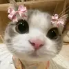 June_Ash - @june.ash1 - TikTok