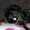 June Atkinson - @june.atkinson - TikTok