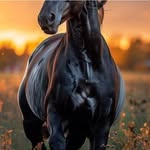 @june_ballard367 - Instagram