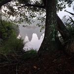 June Bartlett - @bartlettjune - Instagram