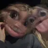 june - @june.bartlett - TikTok
