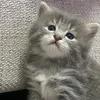 June Basamلمى - @june.basam - TikTok