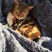 June Batchelor - Facebook