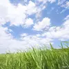 junebauer395 - @junebauer395 - TikTok
