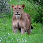 June Poul - Facebook