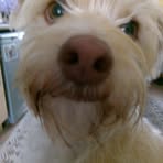 June Bentley - Facebook