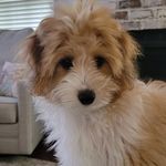 June Ellen Bentley - @junebentley30 - Instagram