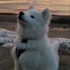 JuneBeverly - @beverlyjune - TikTok