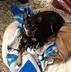 June Blackwell - Facebook
