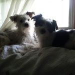 Mary June Nelson Bourgeois - @marynelsonbourgeois - Instagram