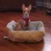 June Brazell - Facebook