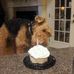 June Brazell - Facebook