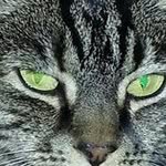 June Brewer - @junebrewer359 - Instagram