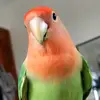 June Bruce - @junebruce0 - TikTok
